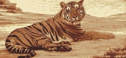 Nástěnný koberec Tygr