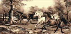 Nástěnný koberec Koně