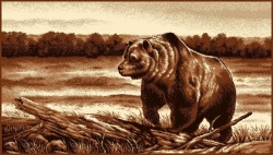 Nástěnný koberec Medvěd