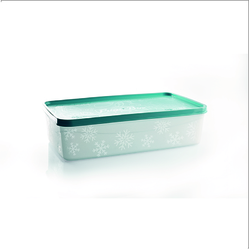 Frigo food box 26,5x15,5x7cm, 2 ltr