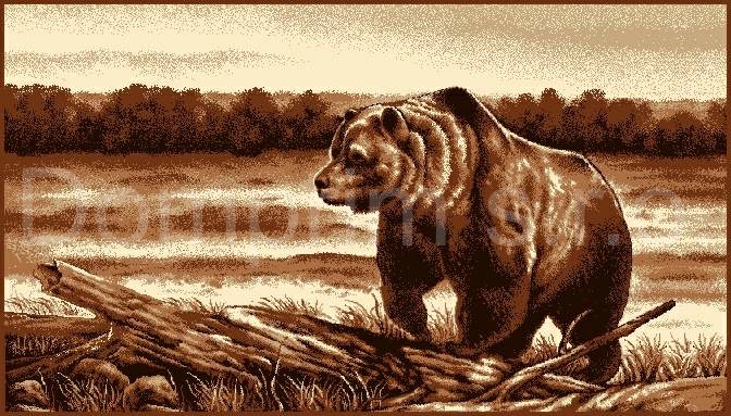 Nástěnný koberec Medvěd